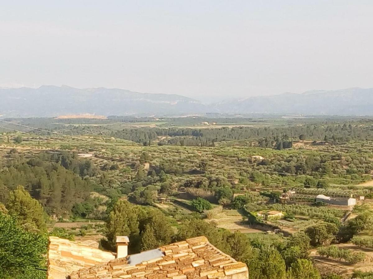Ca La Llum Villa Tivissa Exteriör bild